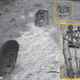 A photo taken of the skeletons soon after their discovery in 2009.